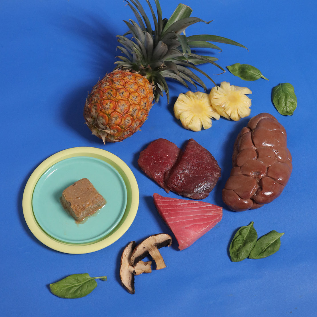 牛肉&吞拿魚老貓糧  - 猫猫輕煮鮮食系列