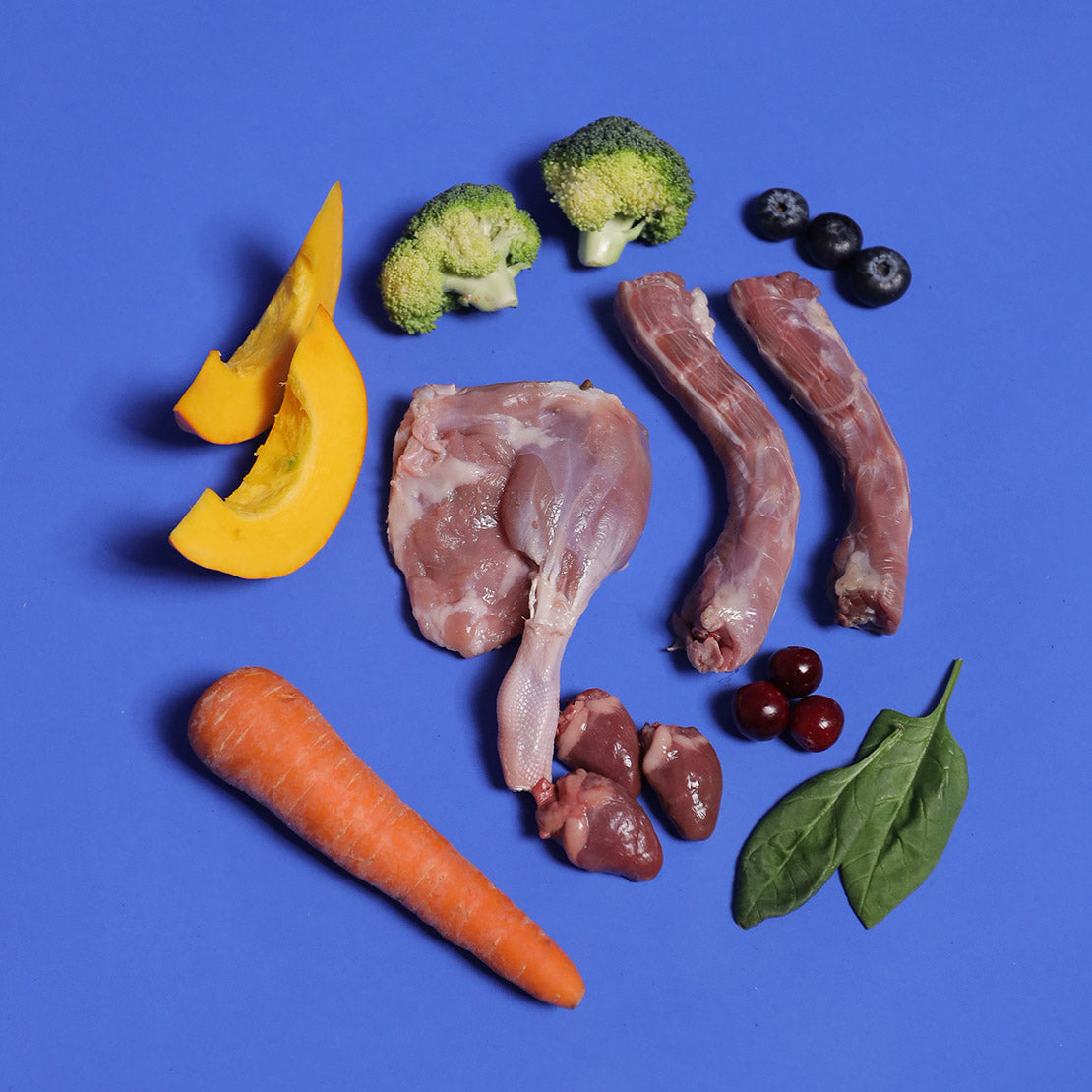 Duck (Raw) - Raw For Adult Dog