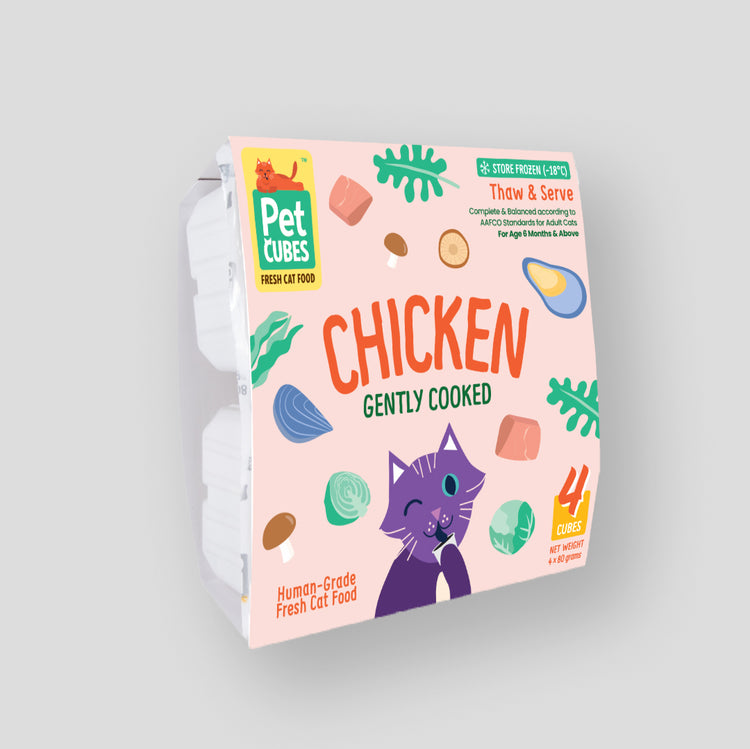 Chicken