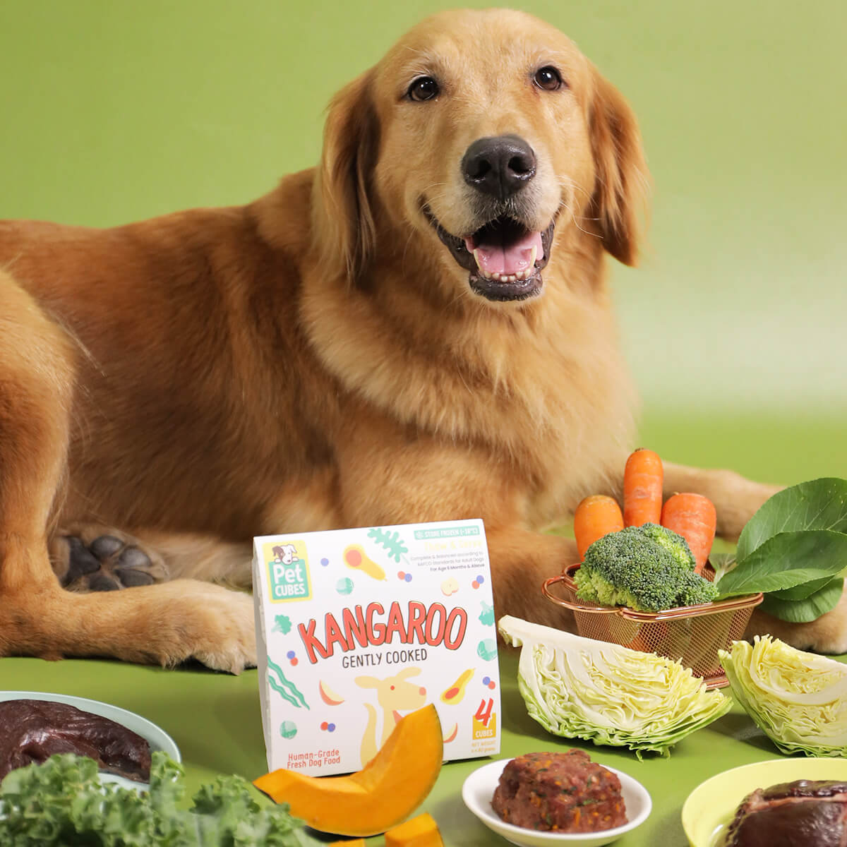 Kangaroo - Gently Cooked For Adult Dog