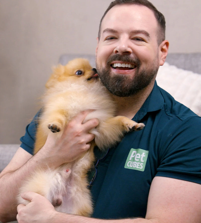 Grid Banner image_tNpCbE