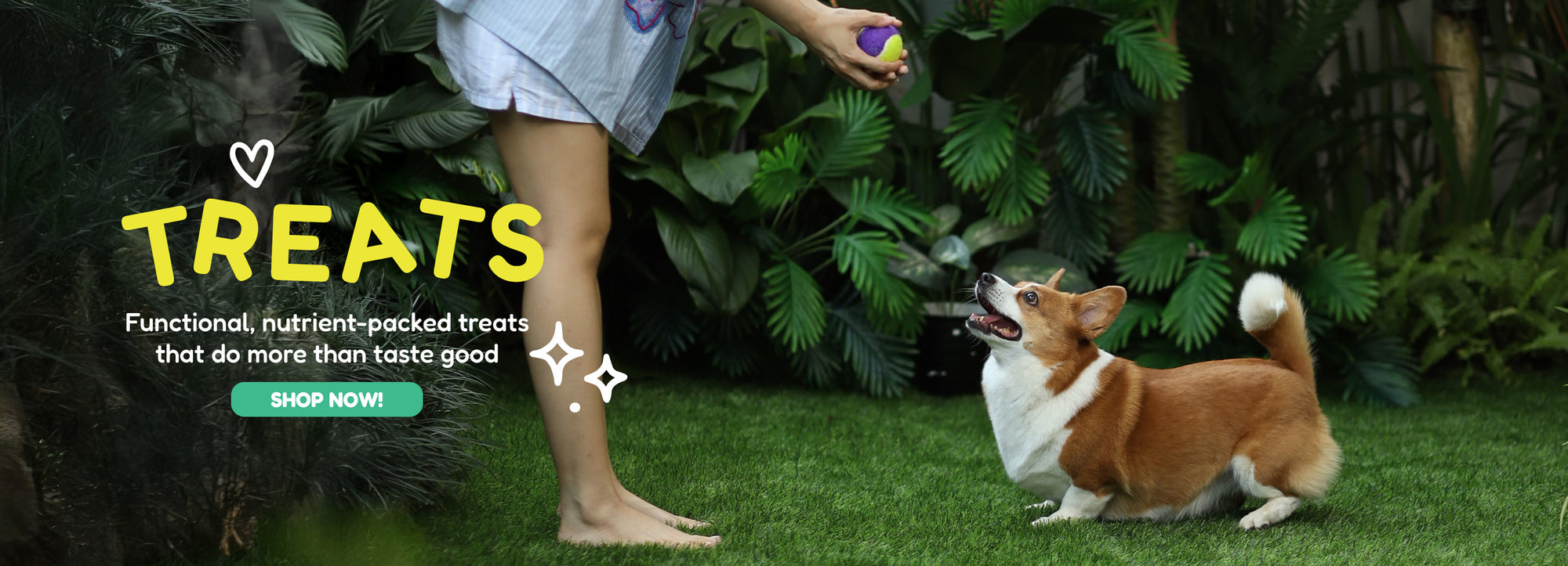 Hero Banner V2 Image 3