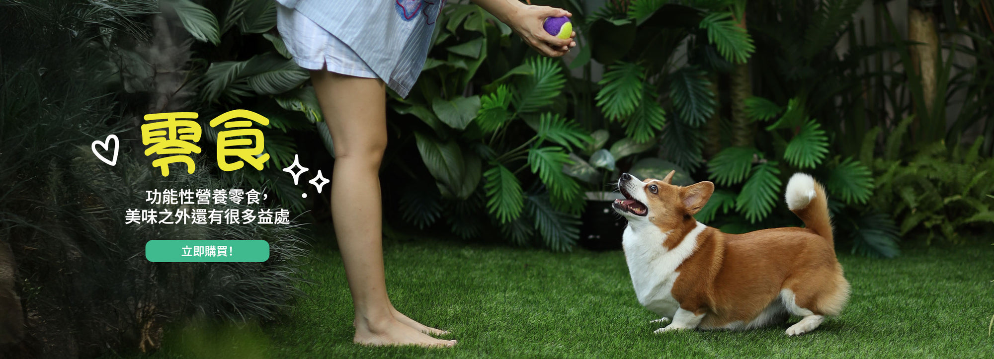 Hero Banner V2 Image 3