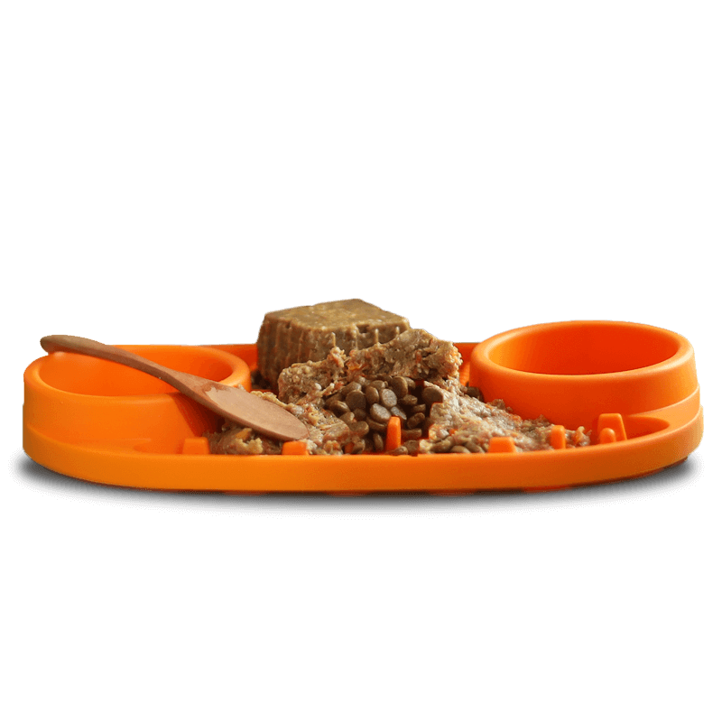 Feeding Guide Diet entry_Ge6XDg