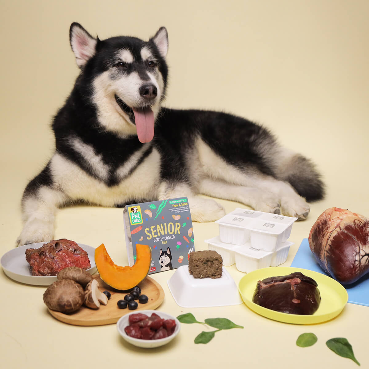 牛肉老犬糧 - 狗狗輕煮鮮食系列