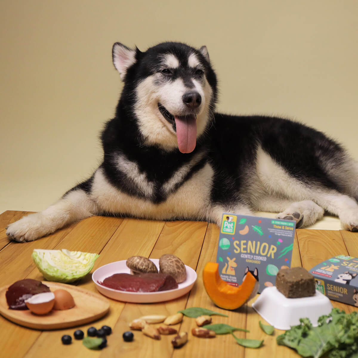 袋鼠肉老犬糧 - 狗狗輕煮鮮食系列