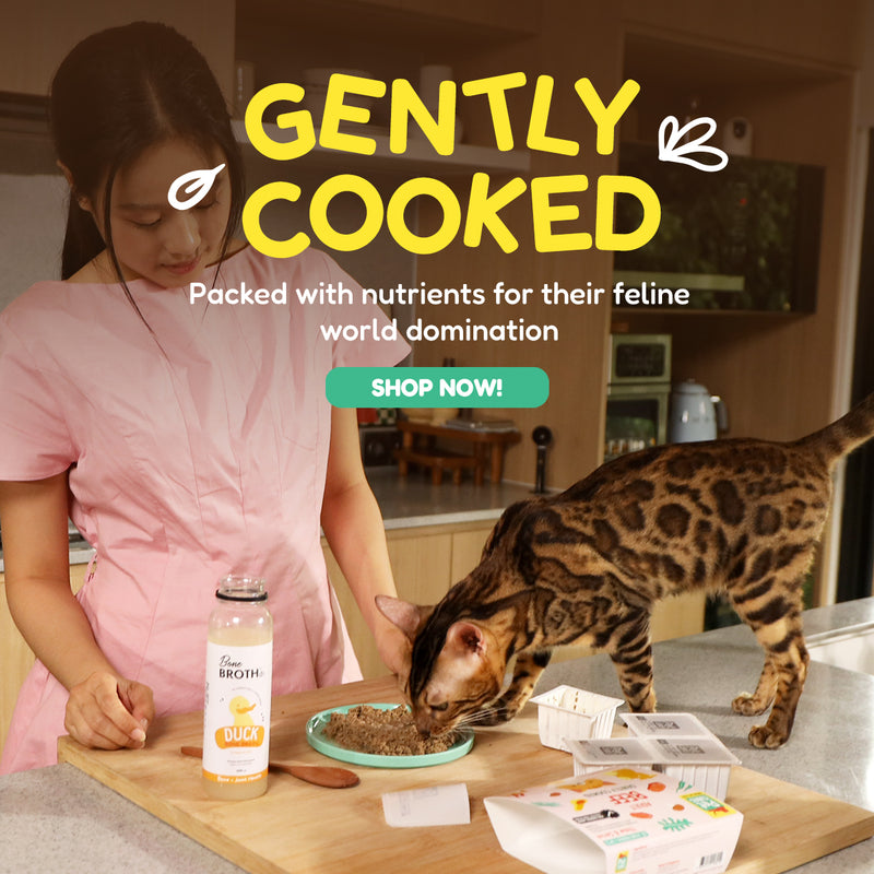 Hero Banner V2 Image 2