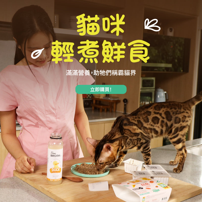 Hero Banner V2 Image 2