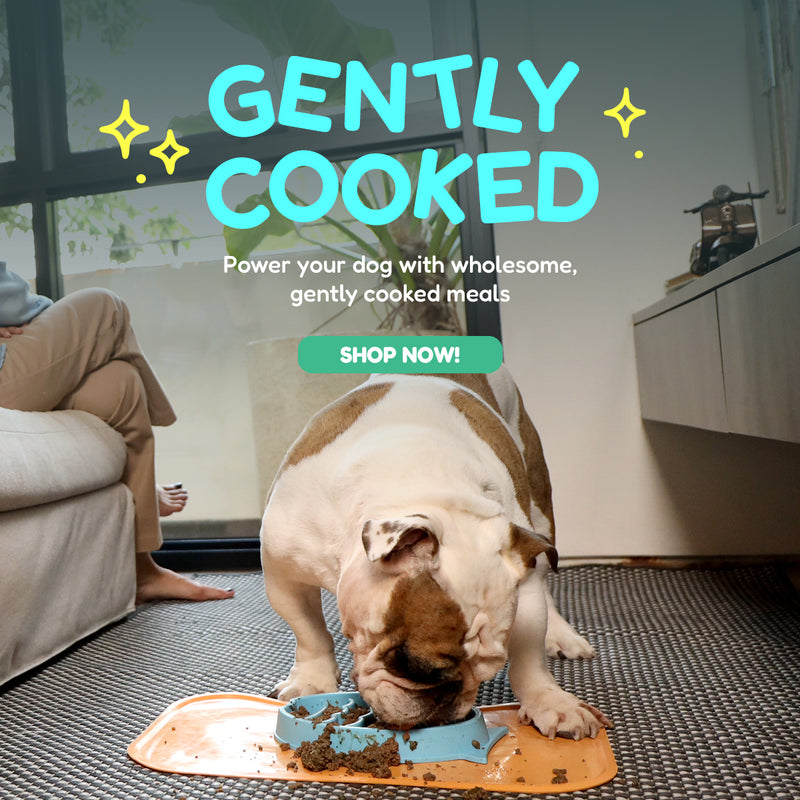 Hero Banner V2 Image 1