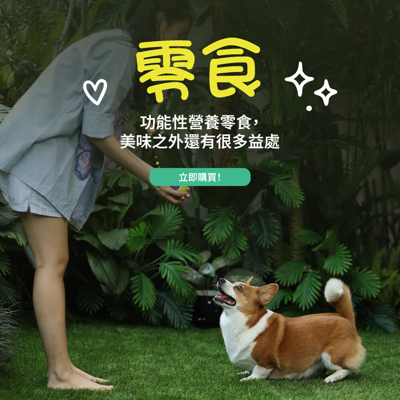 Hero Banner V2 Image 3