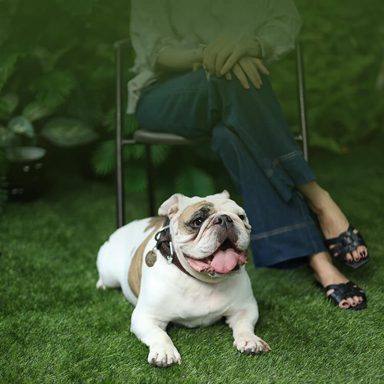 不知道該餵多少？