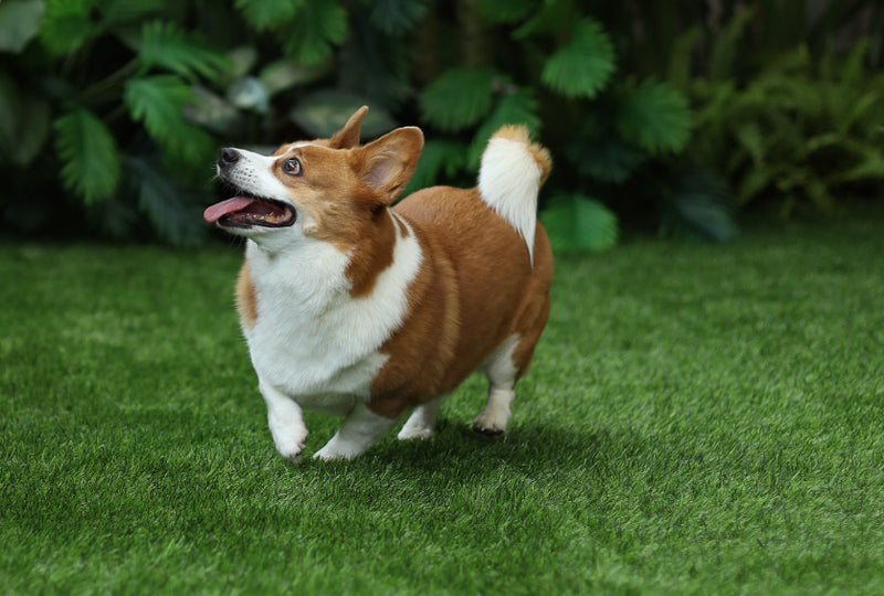 Grid Banner image_tNpCbE