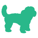 活動量適中的寵物