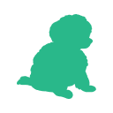 活動量低的寵物