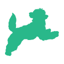 活動量高的寵物